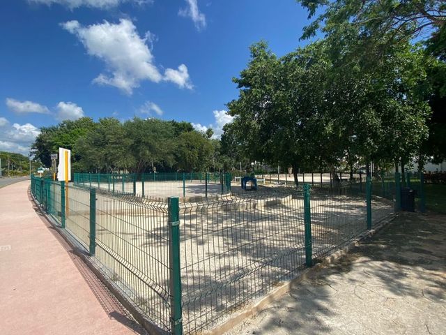 place photo 21