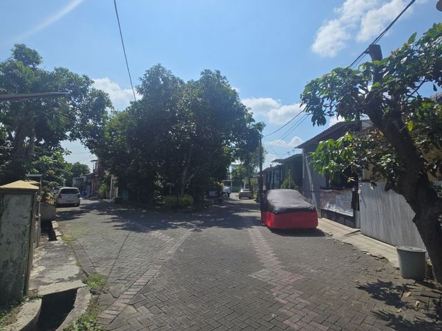 place photo 14