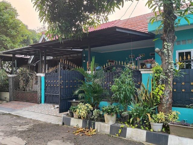 place photo 13