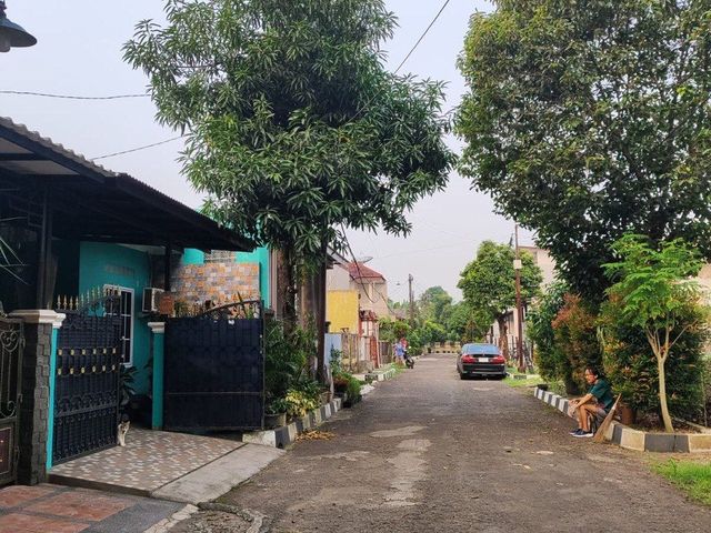 place photo 16