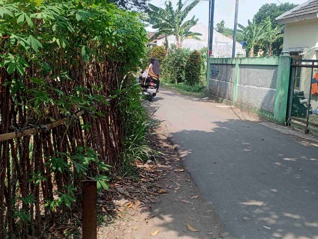 place photo 24