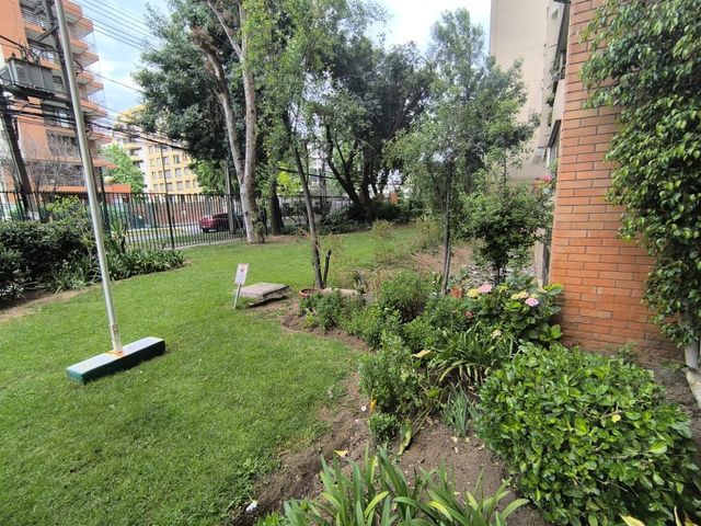 place photo 53