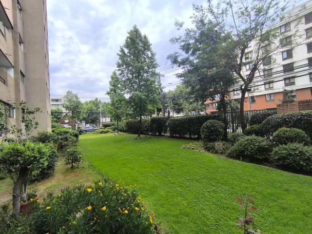 place photo 66