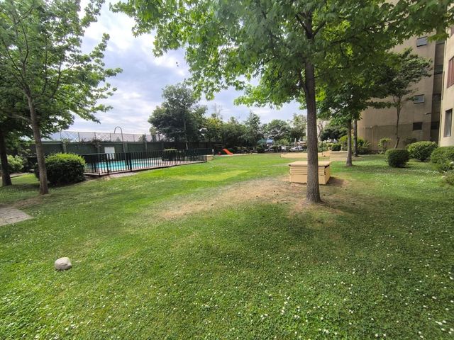 place photo 65