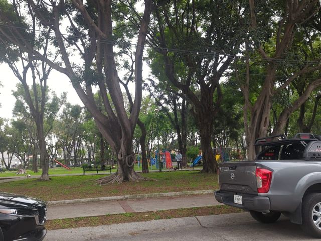 place photo 16