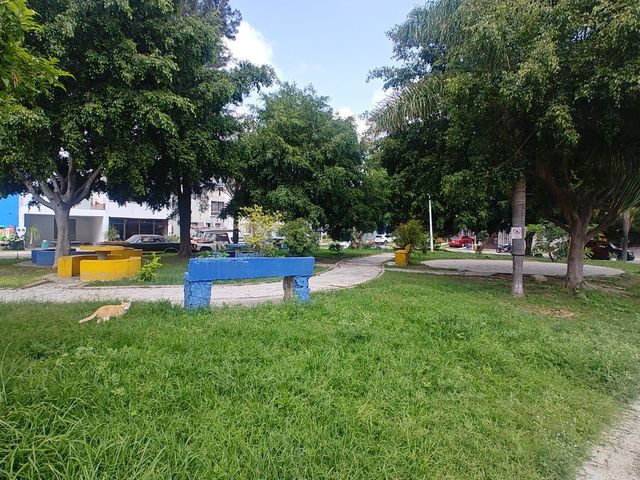 place photo 19