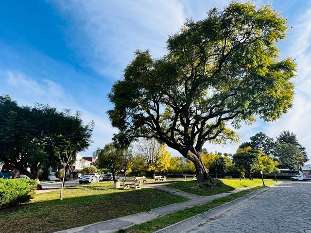 place photo 31