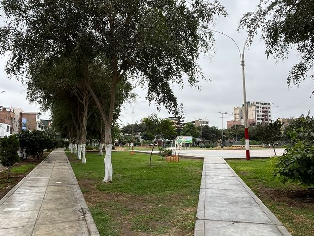 place photo 23