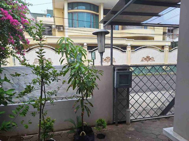 place photo 12