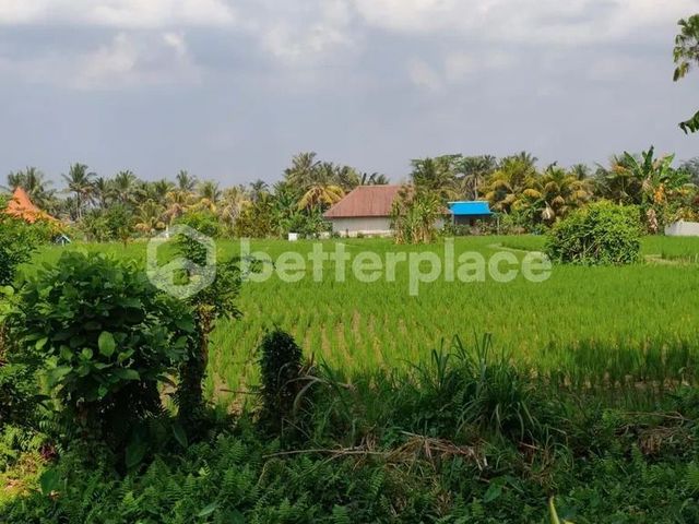 place photo 27