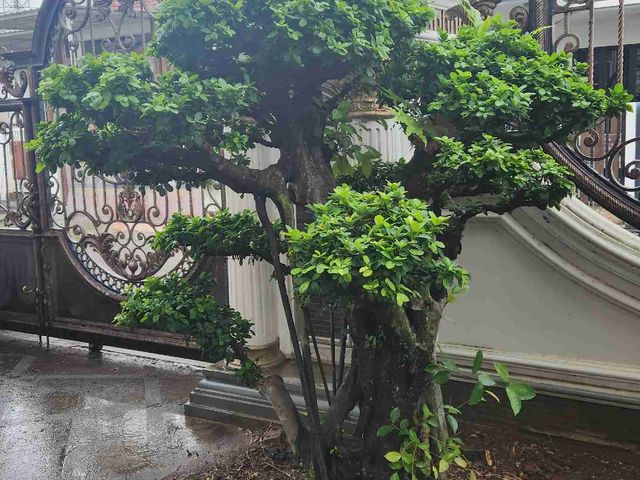 place photo 32