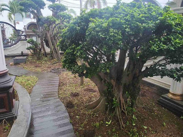 place photo 34