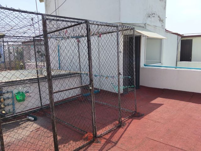 place photo 32