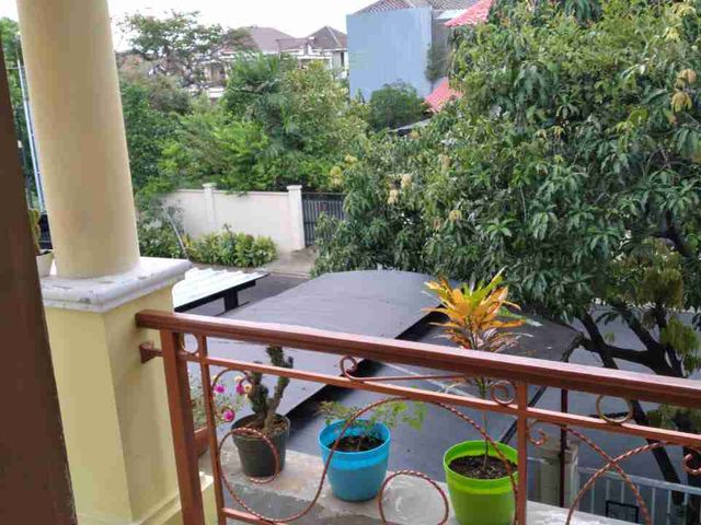 place photo 23