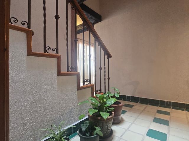 place photo 37