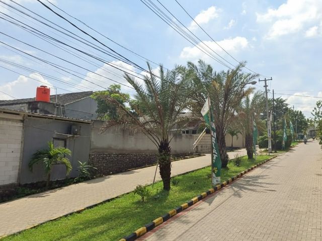 place photo 10