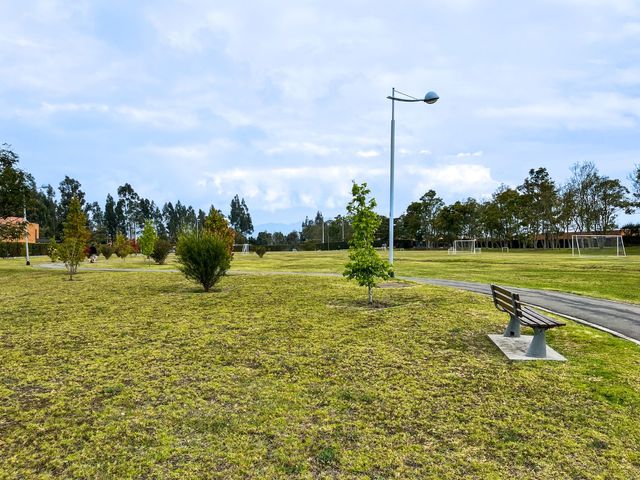place photo 38