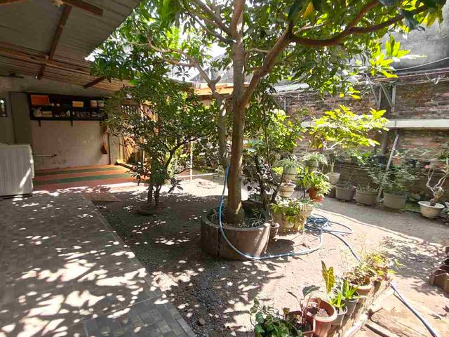 place photo 17
