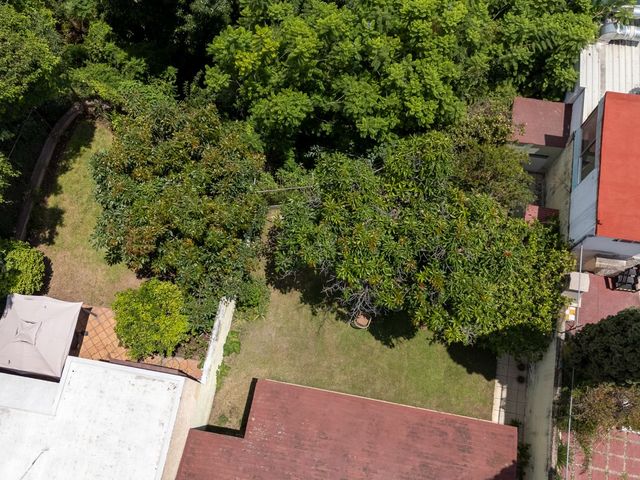 place photo 46