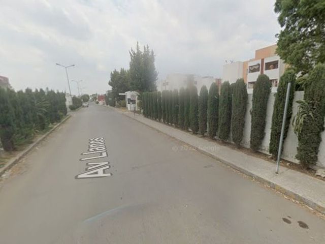 place photo 21