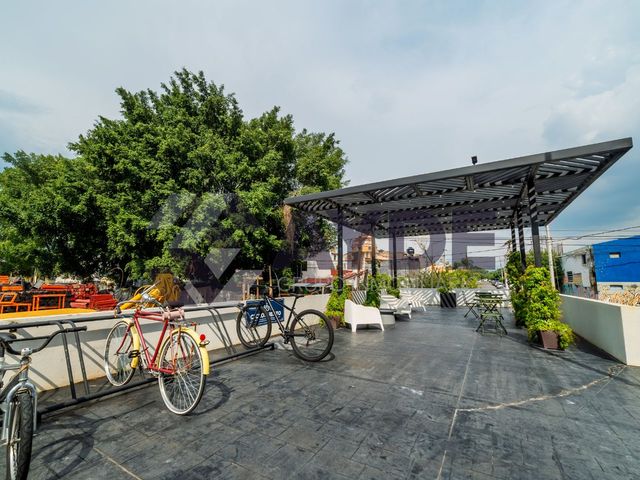place photo 16
