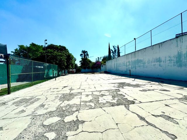 place photo 24