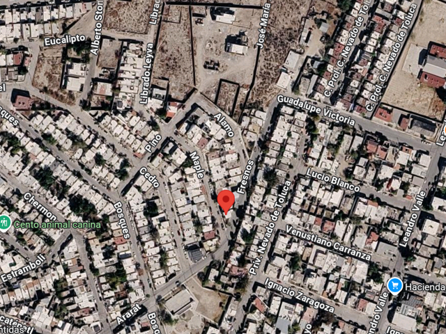 place photo 18