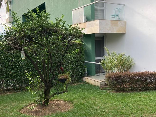 place photo 28