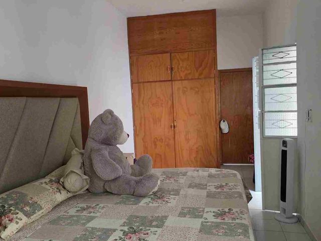 place photo 22