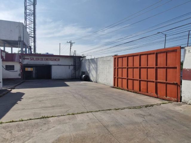 place photo 21