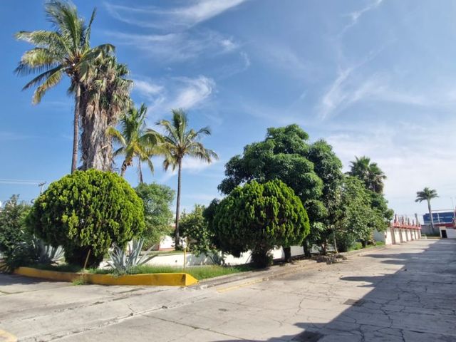place photo 36
