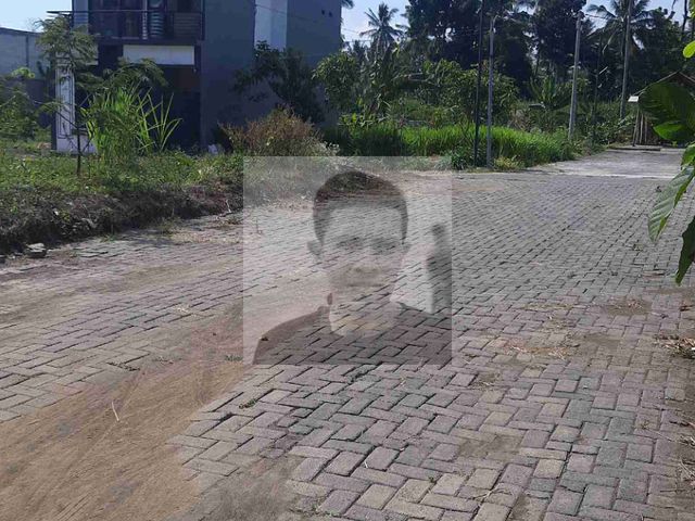 place photo 2