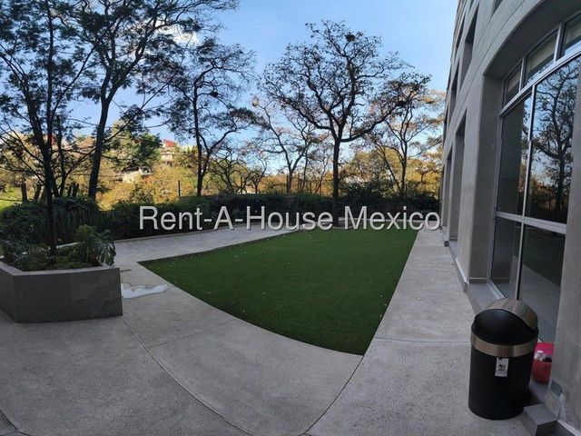 place photo 39