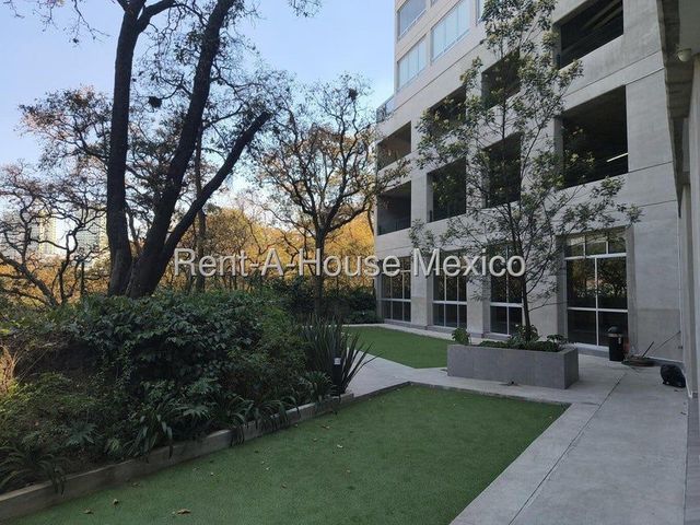 place photo 40