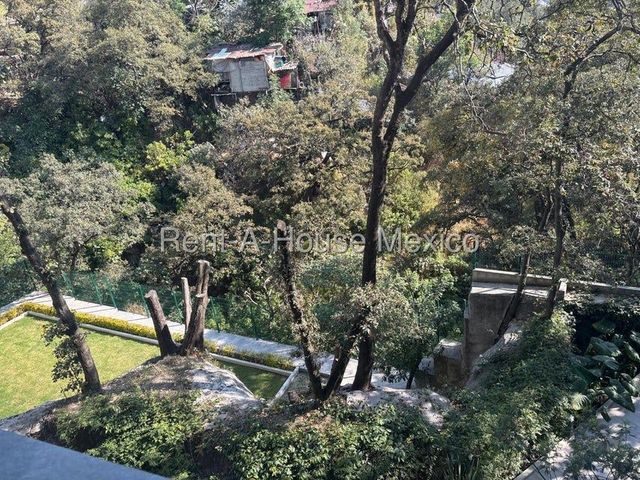 place photo 43