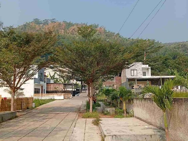 place photo 3