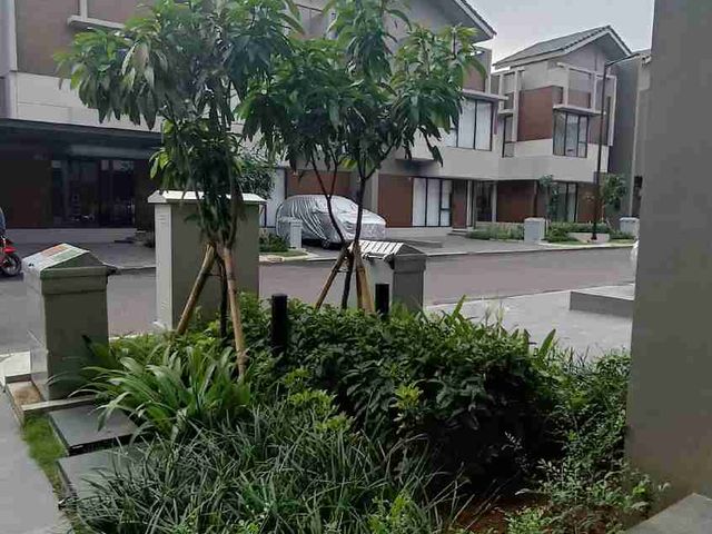 place photo 18