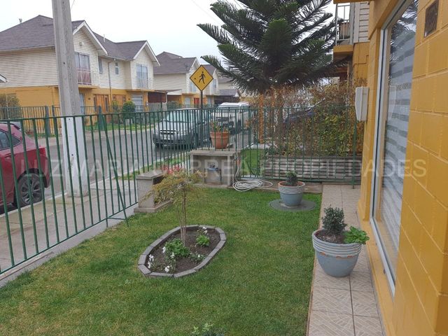 place photo 34