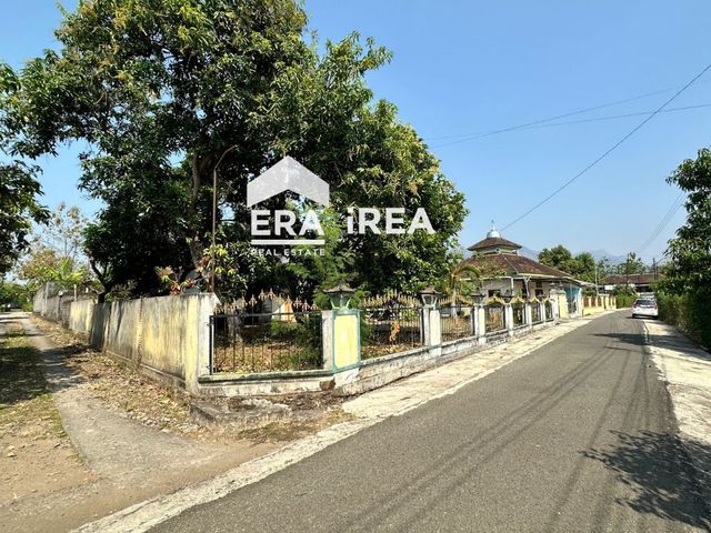 place photo 19