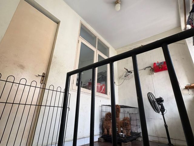 place photo 19