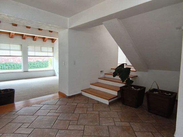 place photo 54