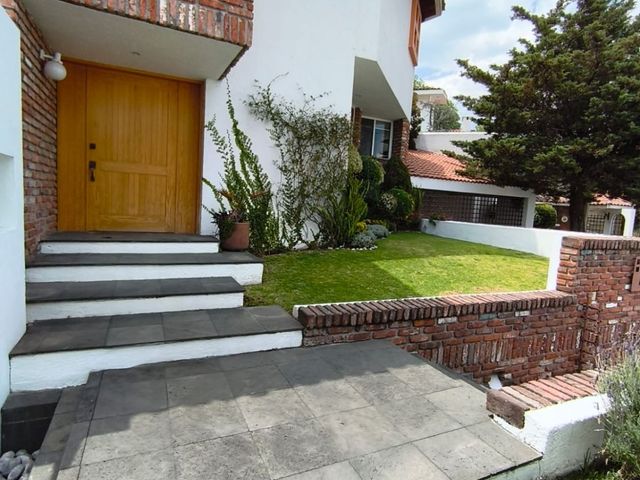place photo 56