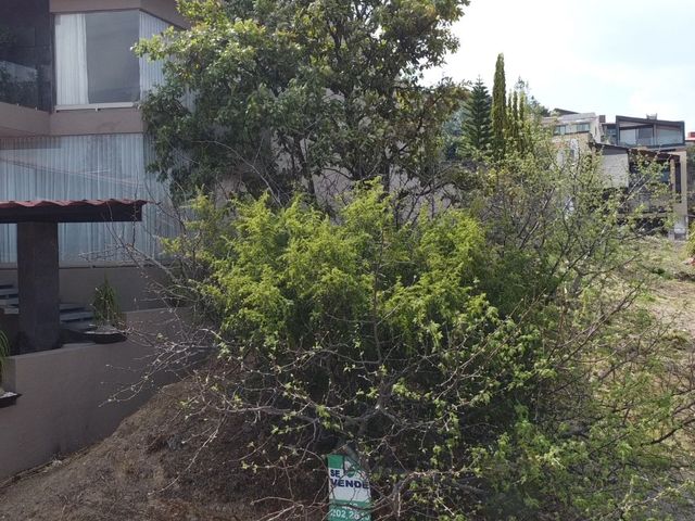 place photo 23