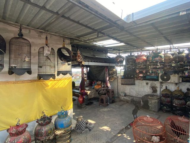 place photo 23