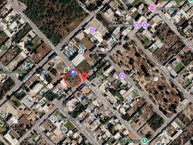 place photo 1