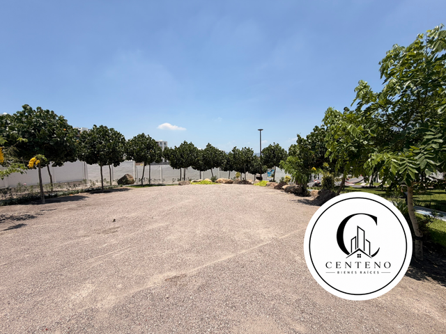 place photo 37