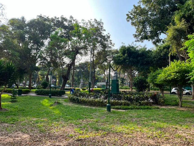 place photo 26