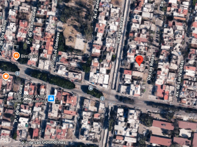 place photo 11