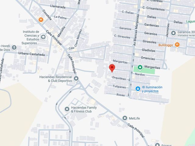 place photo 7