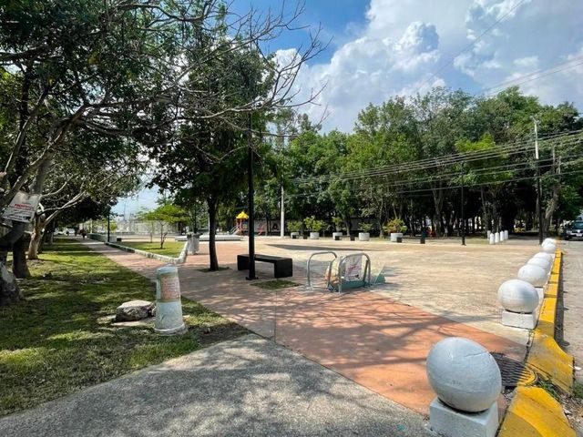 place photo 20